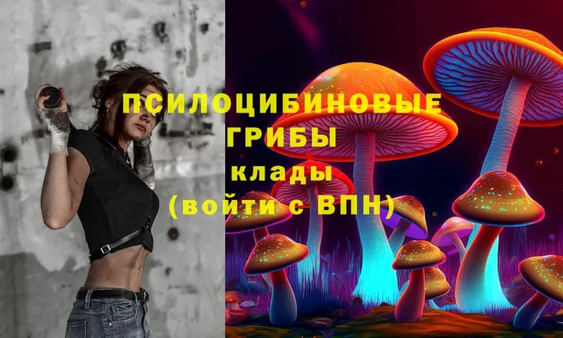 OMG зеркало  дарк нет официальный сайт  Галлюциногенные грибы Magic Shrooms  Зея 